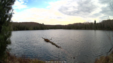 Image from 2025-05-09