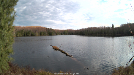 Image from 2025-05-09