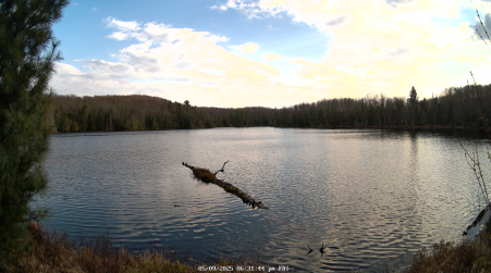 Image from 2025-05-09