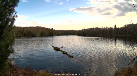 Image from 2025-05-09