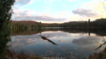 Image from 2025-05-09