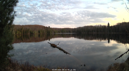 Image from 2025-05-09