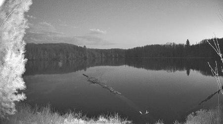 Image from 2025-05-09