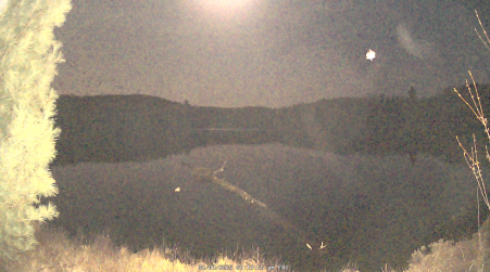 Image from 2025-05-09