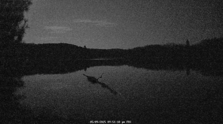 Image from 2025-05-09