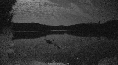 Image from 2025-05-09