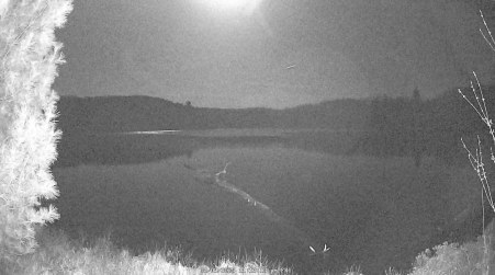 Image from 2025-05-09