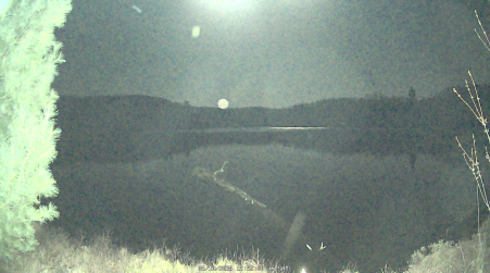 Image from 2025-05-10