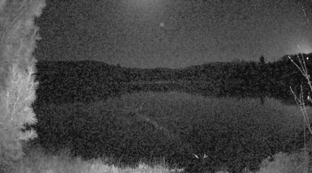 Image from 2025-05-10