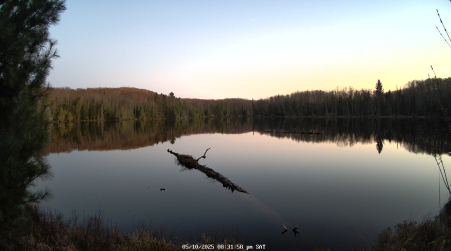 Image from 2025-05-10