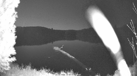Image from 2025-05-10