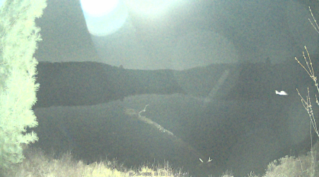 Image from 2025-05-10