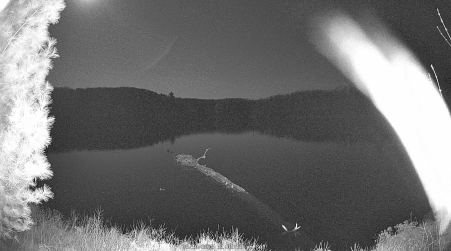 Image from 2025-05-10