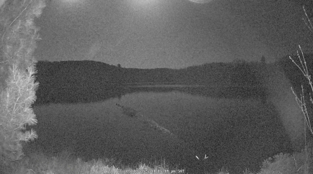 Image from 2025-05-10