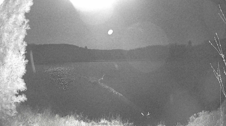 Image from 2025-05-10