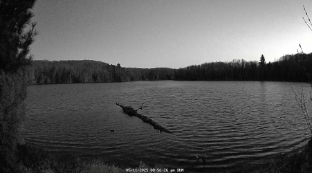 Image from 2025-05-11