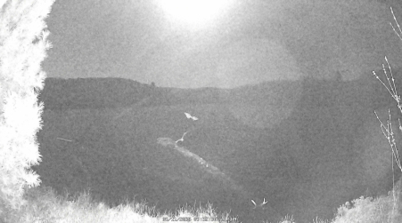 Image from 2025-05-11