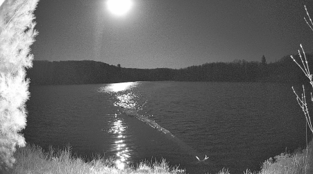 Image from 2025-05-12