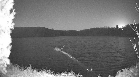 Image from 2025-05-12