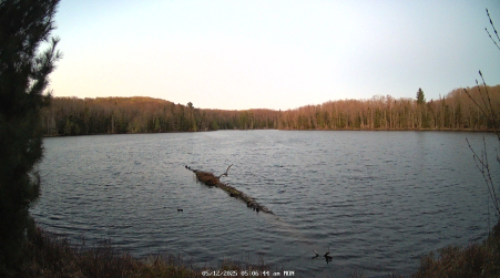 Image from 2025-05-12