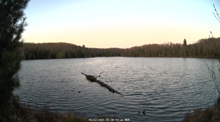 Image from 2025-05-12