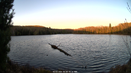 Image from 2025-05-12