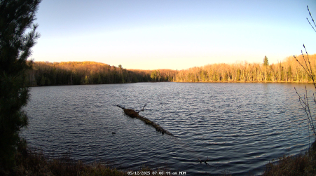 Image from 2025-05-12