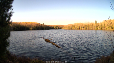 Image from 2025-05-12