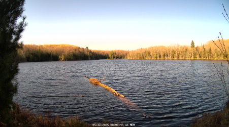 Image from 2025-05-12