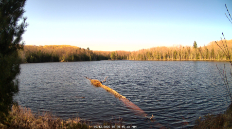 Image from 2025-05-12