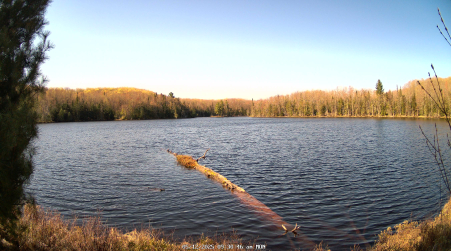 Image from 2025-05-12