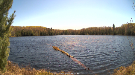Image from 2025-05-12