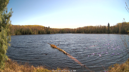Image from 2025-05-12
