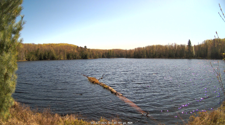 Image from 2025-05-12