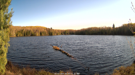 Image from 2025-05-12