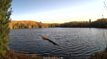Image from 2025-05-12