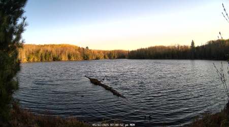 Image from 2025-05-12