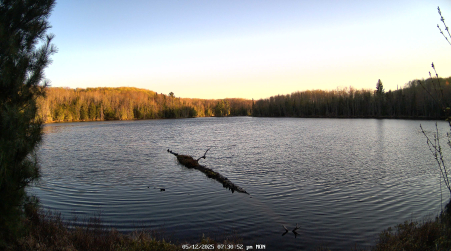 Image from 2025-05-12