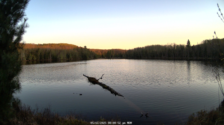 Image from 2025-05-12