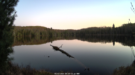 Image from 2025-05-12