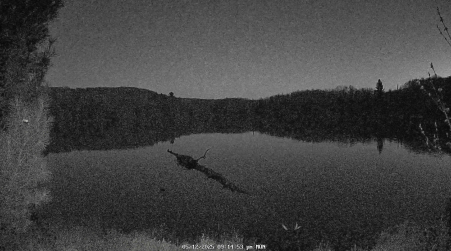 Image from 2025-05-12