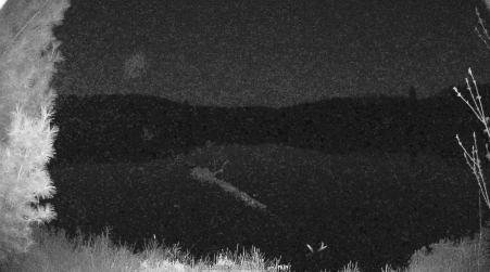 Image from 2025-05-12