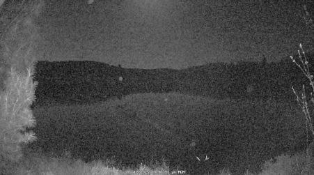Image from 2025-05-12