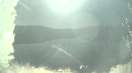 Image from 2025-05-12