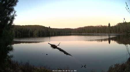Image from 2025-05-13