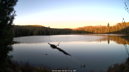 Image from 2025-05-13