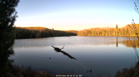 Image from 2025-05-13