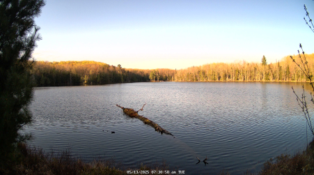 Image from 2025-05-13