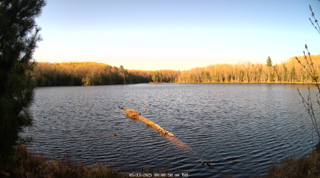 Image from 2025-05-13