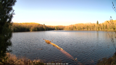 Image from 2025-05-13